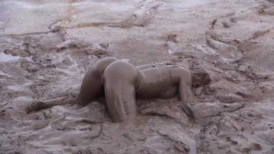 Nude In The Mud 67